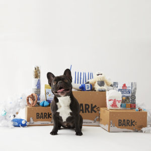 The Best Gifts For Dogs and Dog Lovers