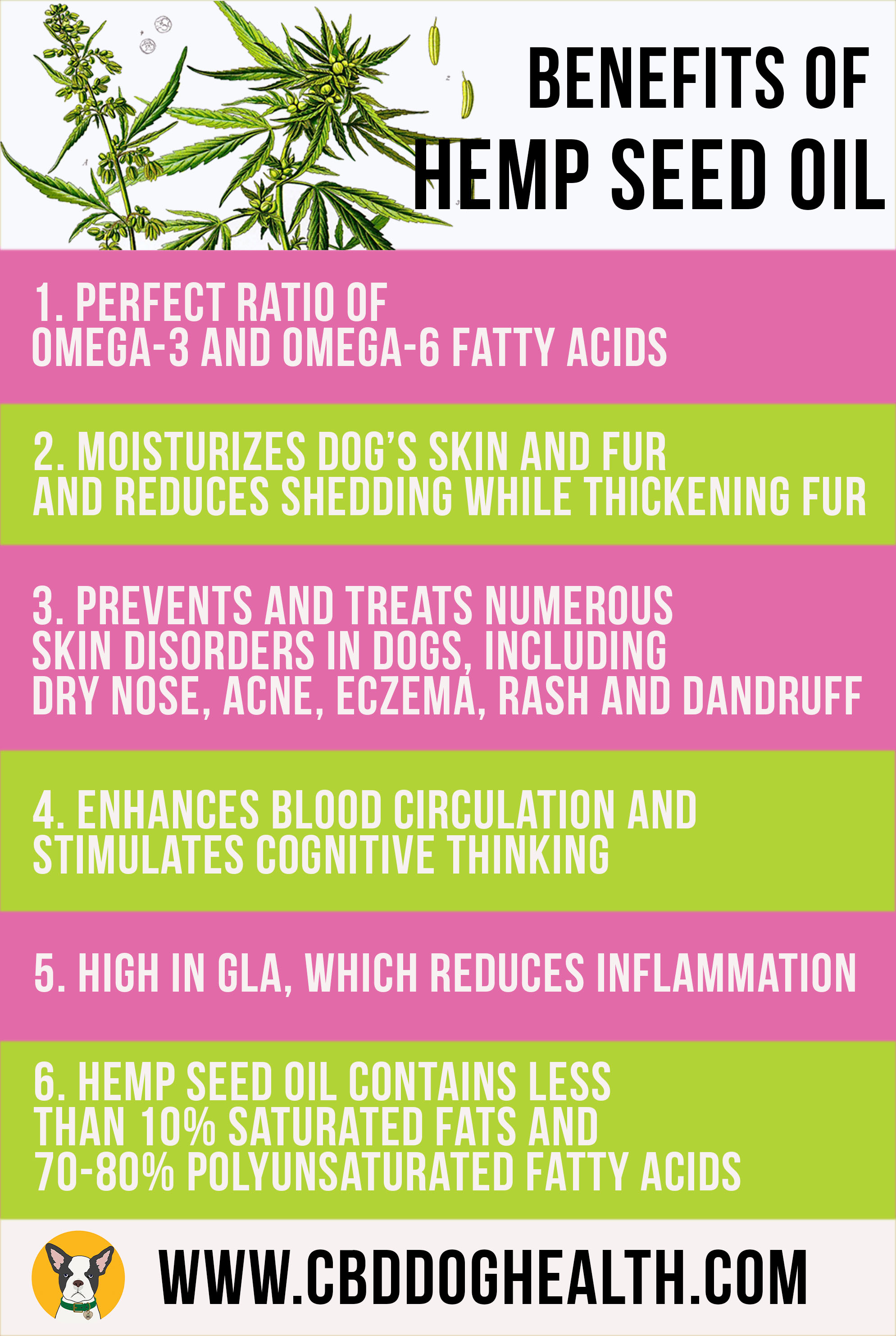 The Benefits of Hemp Seed Oil for Hair