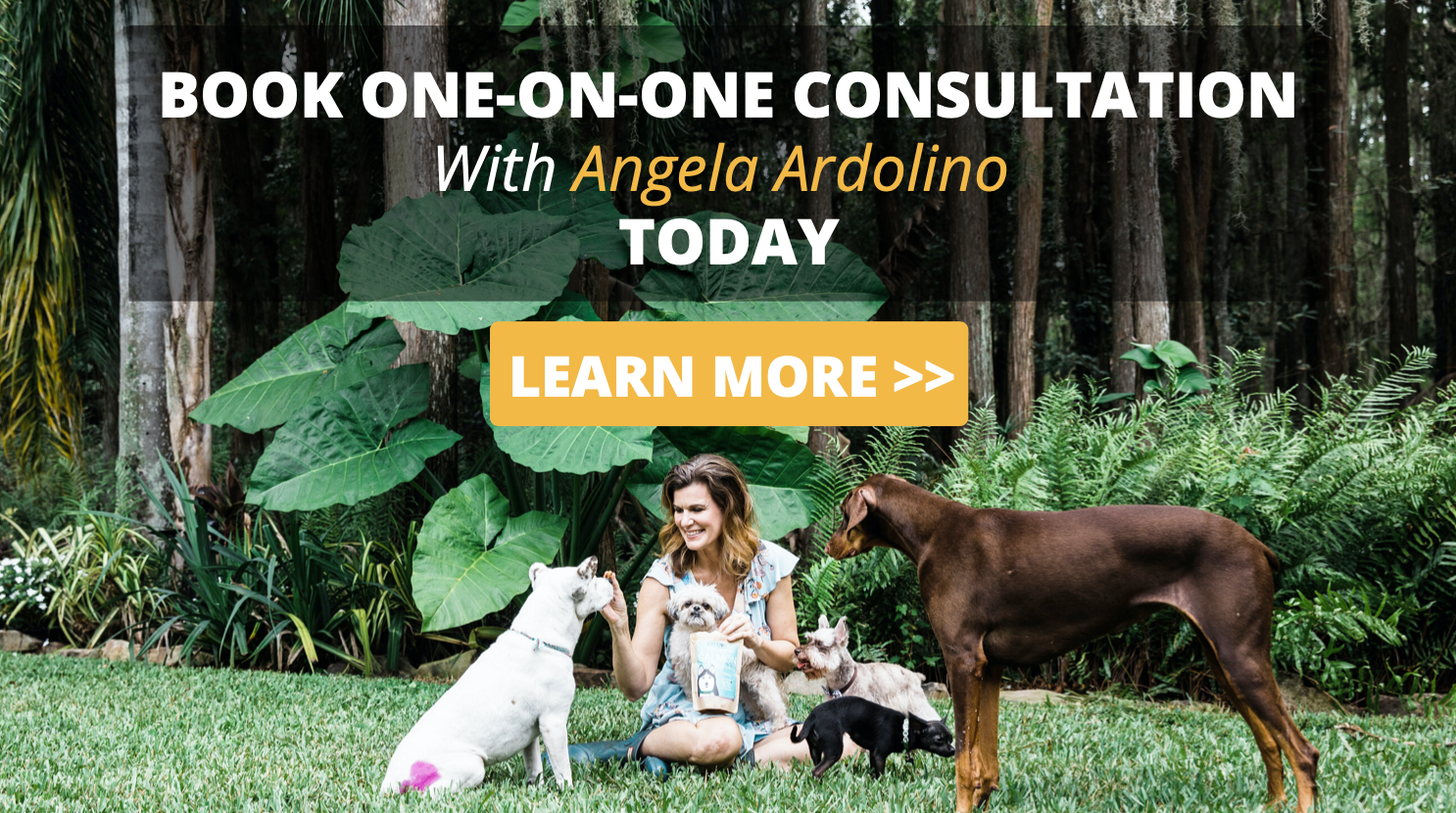Consultation with Angela 