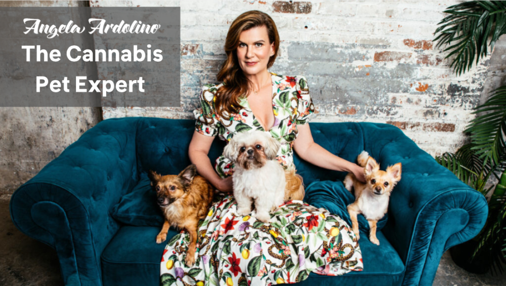 The Cannabis Pet Expert