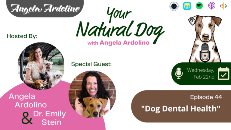 teef dog dental health dr. emily stein on your natural dog podcast with angela ardolino