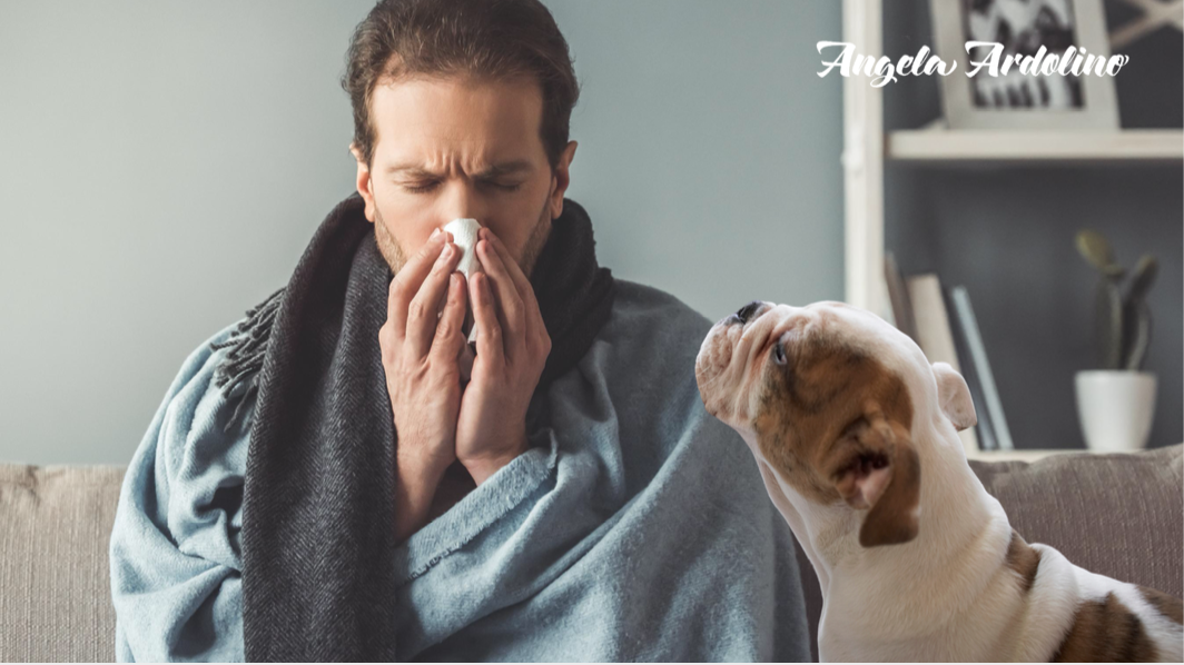 Can Dogs Sniff Out Covid19? Angela Ardolino