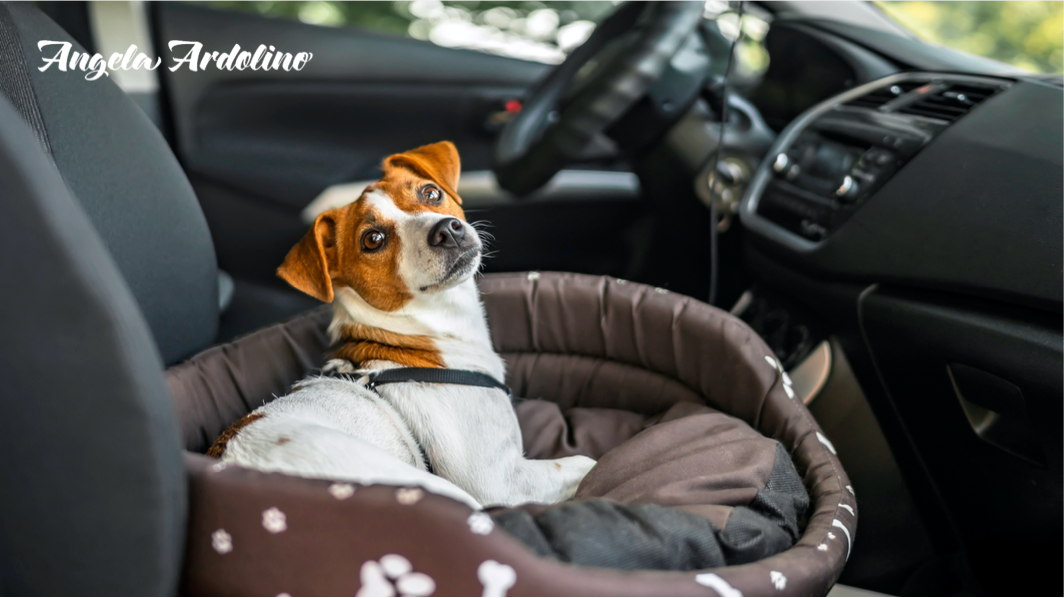 Motion sickness collar for 2024 dogs