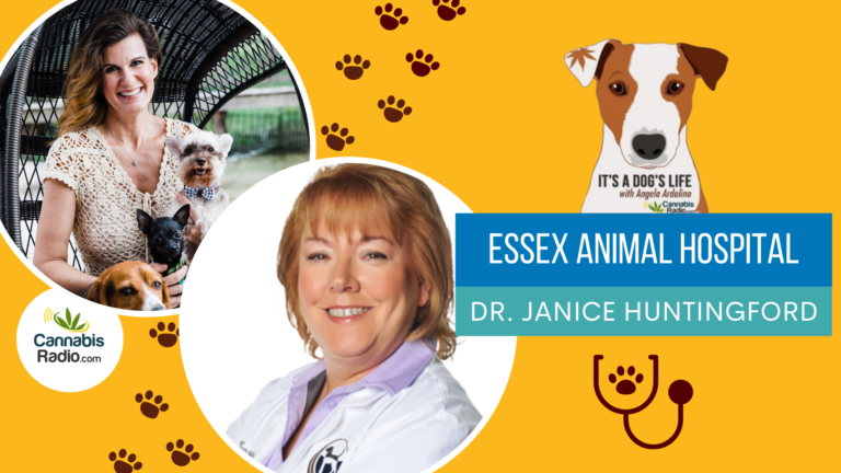 Podcast with Dr. Janice Huntingford