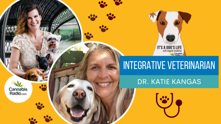 Podcast with Dr. Katie Kangas