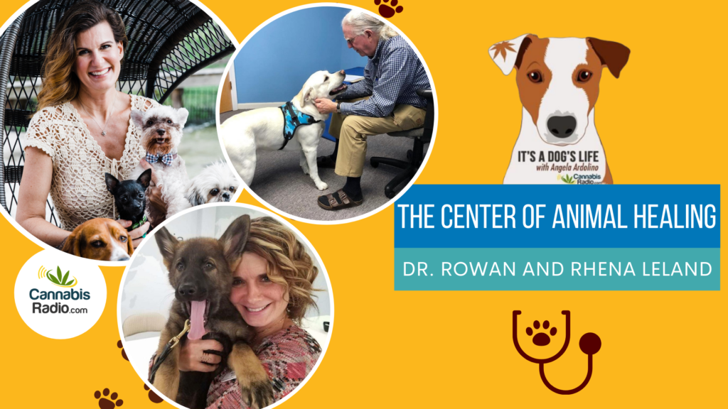 The Center of Animal Healing with Dr. Rowan and Rhena Leland