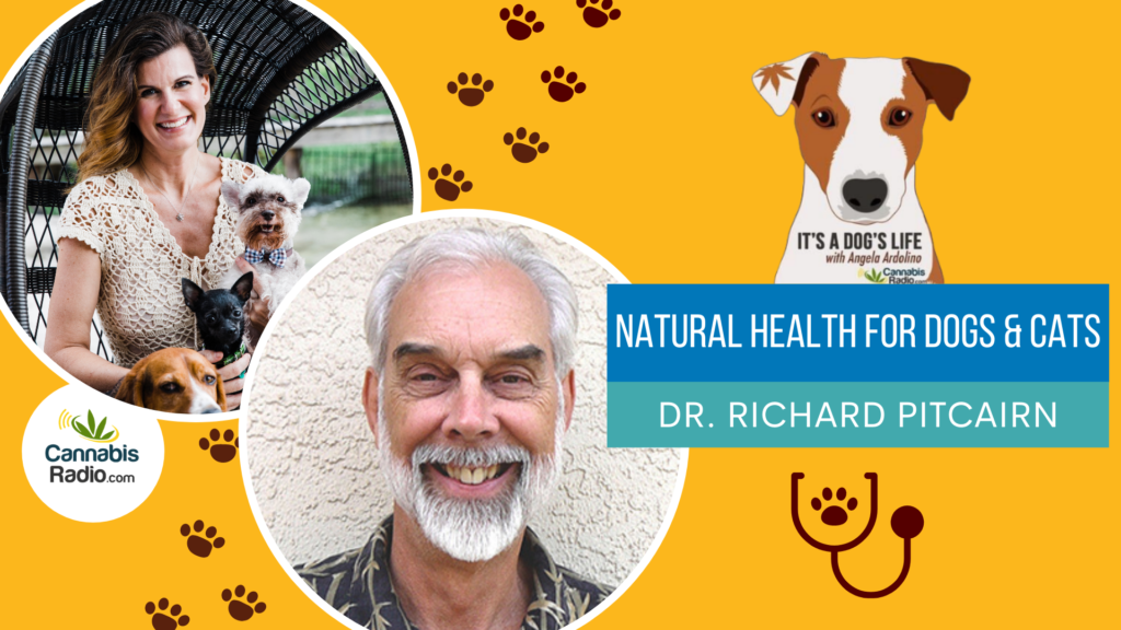 Podcast with Dr. Richard Pitcairn