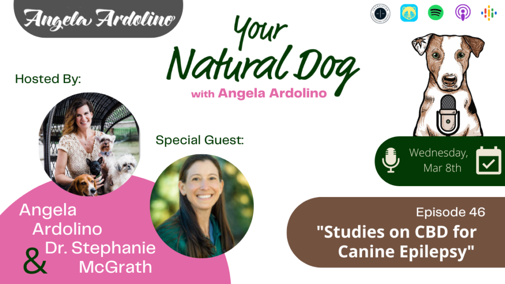 CBD for epilepsy seizures studies research on cannabis cbd for dogs with epilepsy dr. stephanie mcgrath on your natural dog podcast