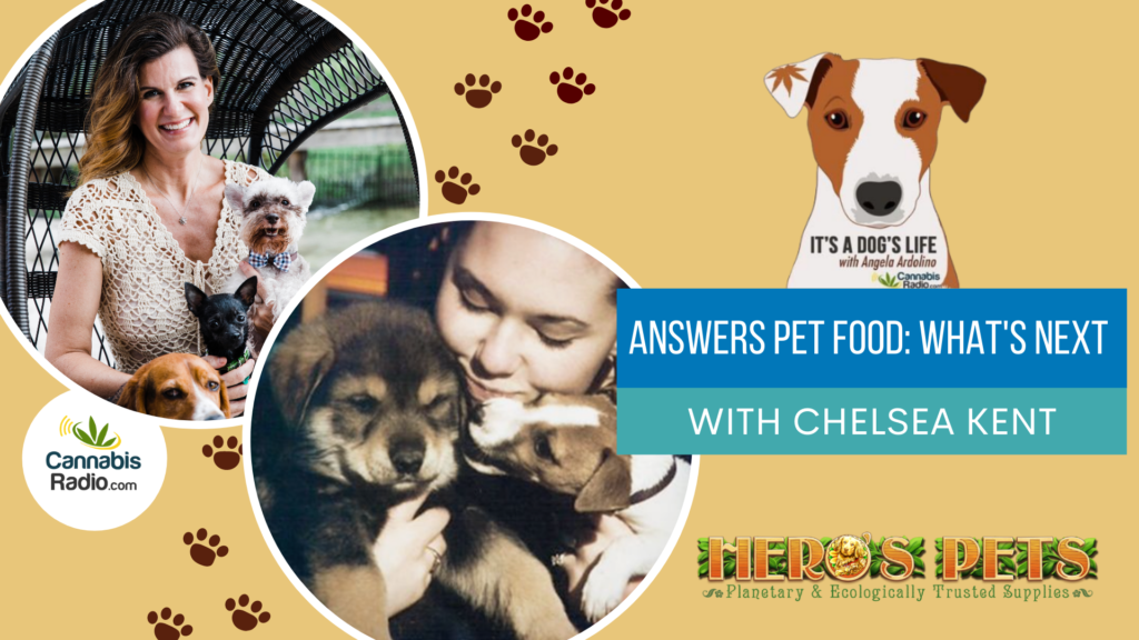 Answers Pet Food What's Next with Chelsea Kent