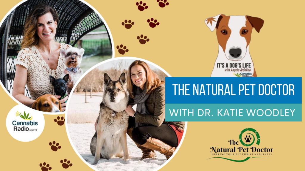 The Natural Pet Doctor with Dr. Katie Woodley