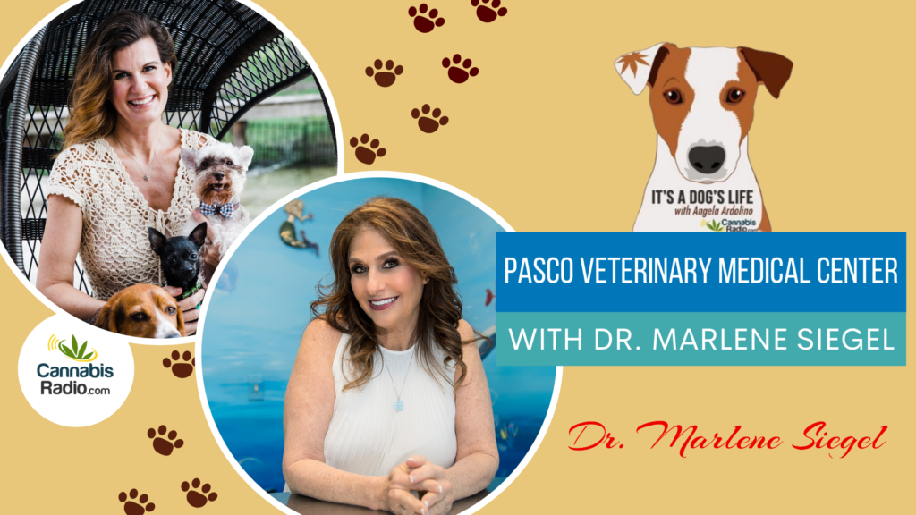 Pasco Veterinary Medical Center with Dr. Marlene Siegel