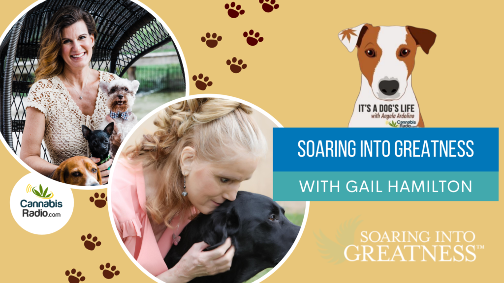 Soaring into greatness with Gail Hamilton