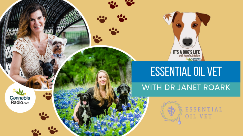 podcast dr janet roark essential oil vet