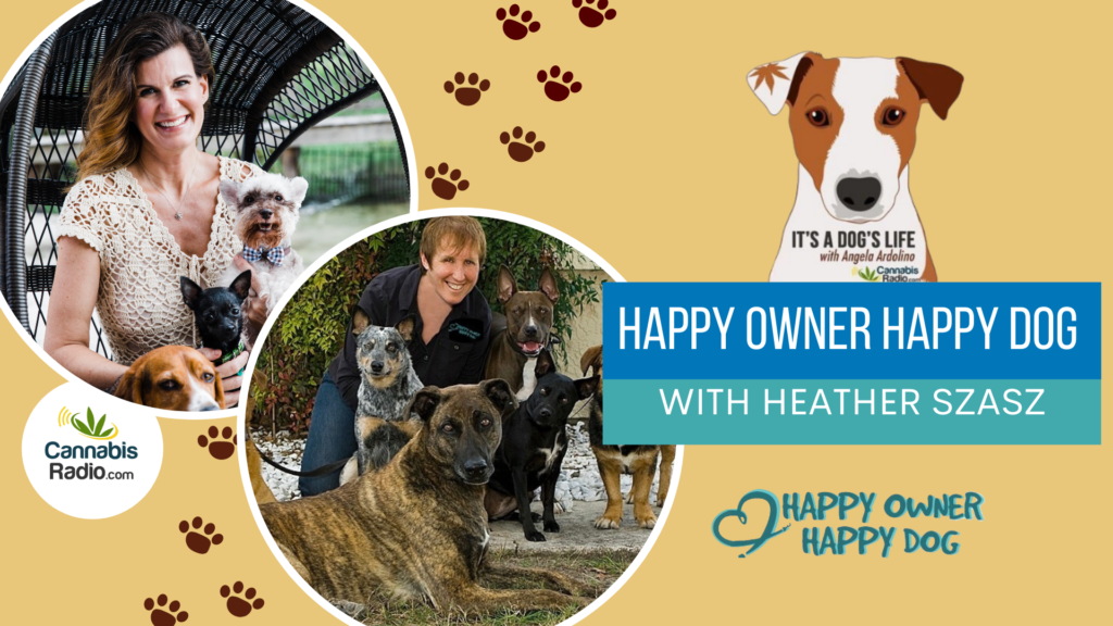 Heather Szasz happy owner happy dog