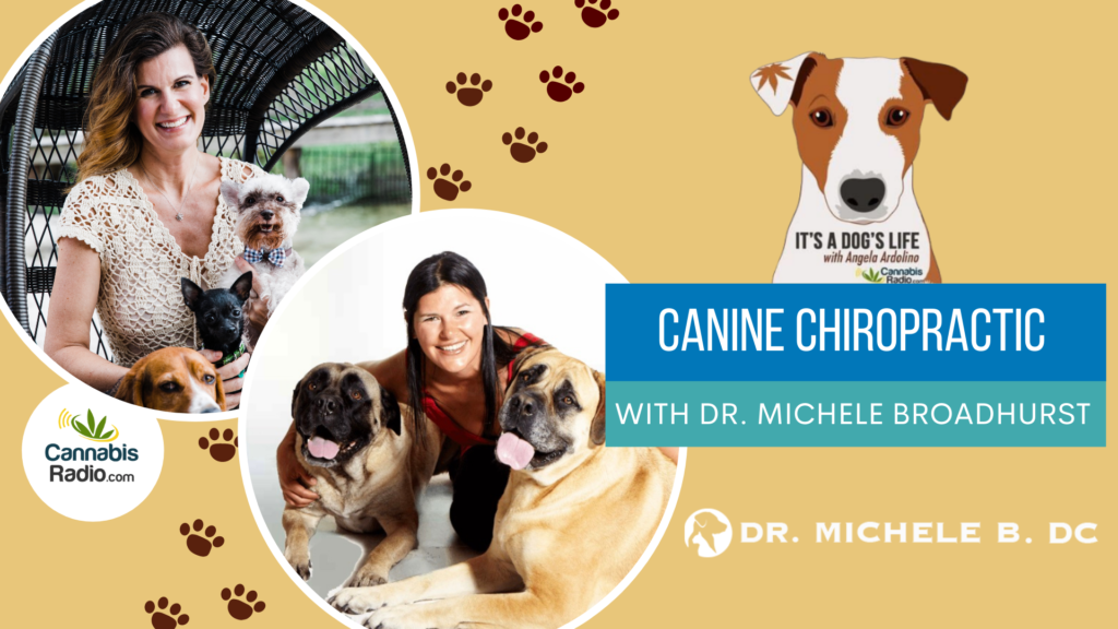 It's a Dog's Life Podcast - Canine Chiropractic with Dr Michele Broadhurst