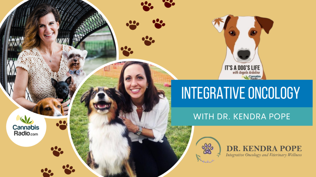 Integrative Oncology with Dr. Kendra Pope - It's a Dog's Life Podcast