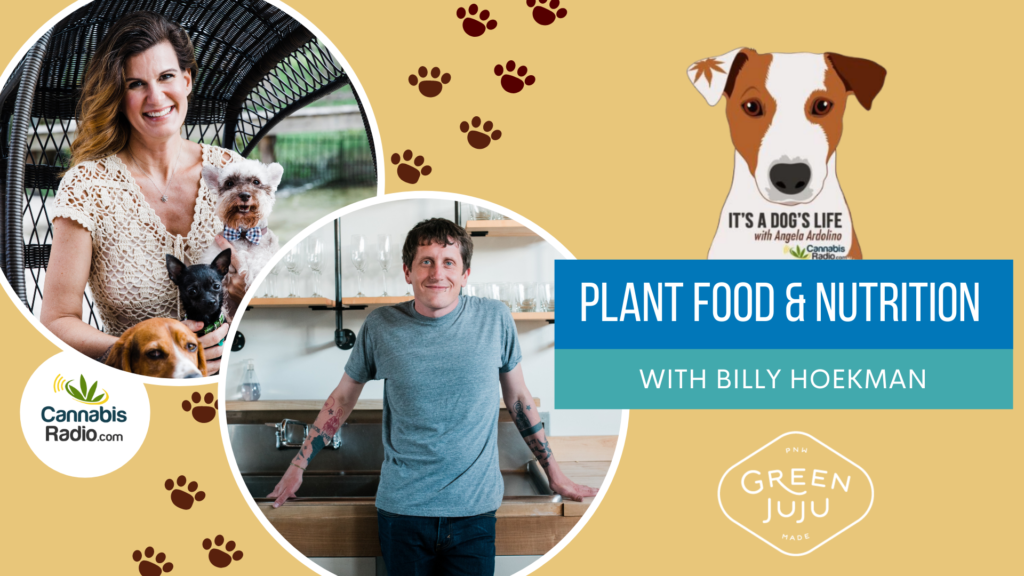 Plant Food & Nutrition with Billy Hoekman - This week's guest on it's a dog's life podcast