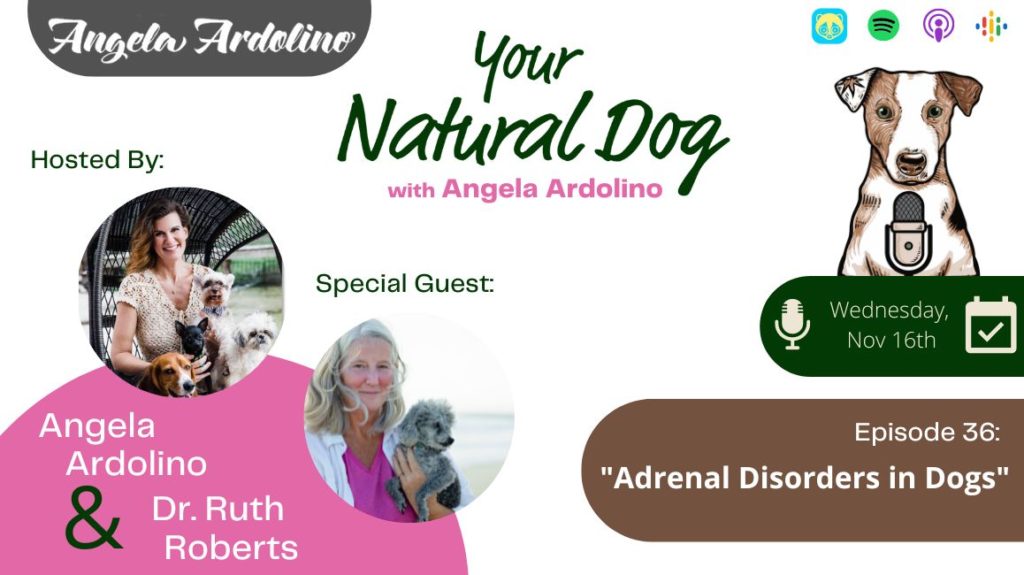Adrenal Disorders in Dogs with Dr Ruth Roberts on Your Natural Dog Podcast with Angela Ardolino