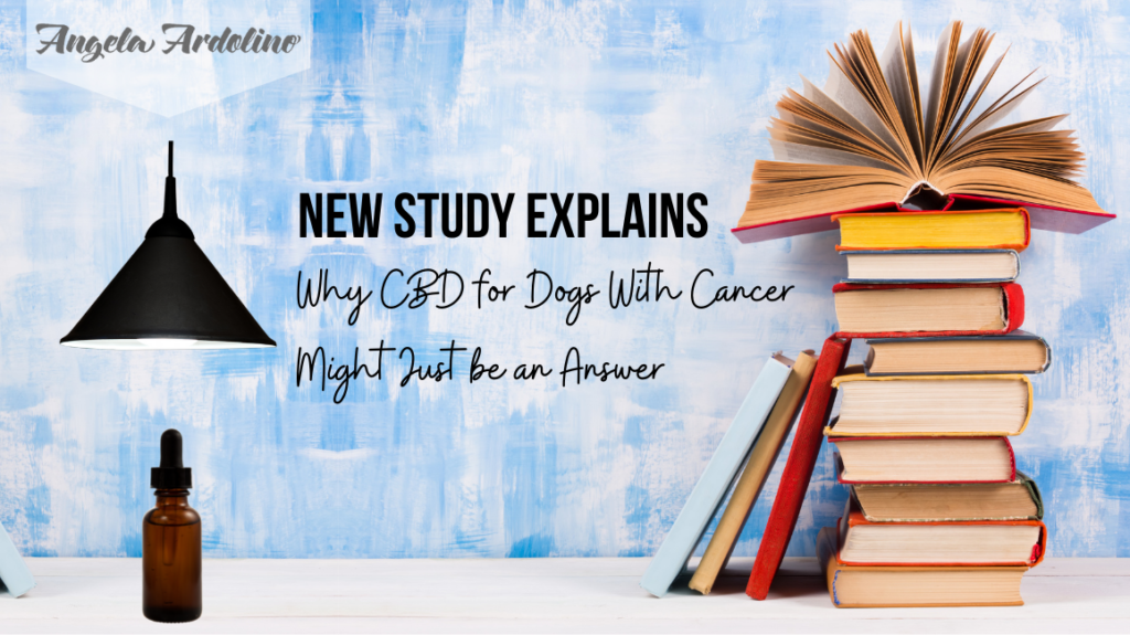 CBD oil for dogs with cancer benefits