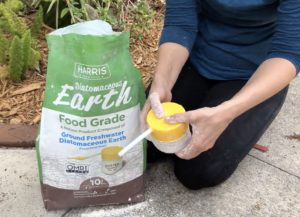 angie using diatomaceous earth