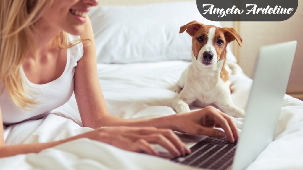IS CBD Right For My Pet? - Featured image woman with dog and computer