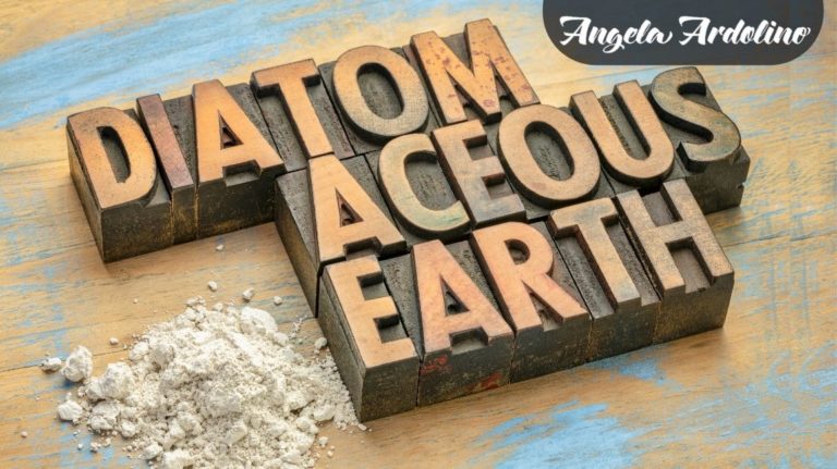 Diatomaceous Earth Blog Featured Image