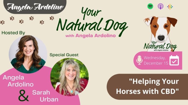 Helping Horses with CBD featuring Dr Sarah Urban - Episode 2 of Your Natural Dog with Angela Ardolino - Blog Featured Image