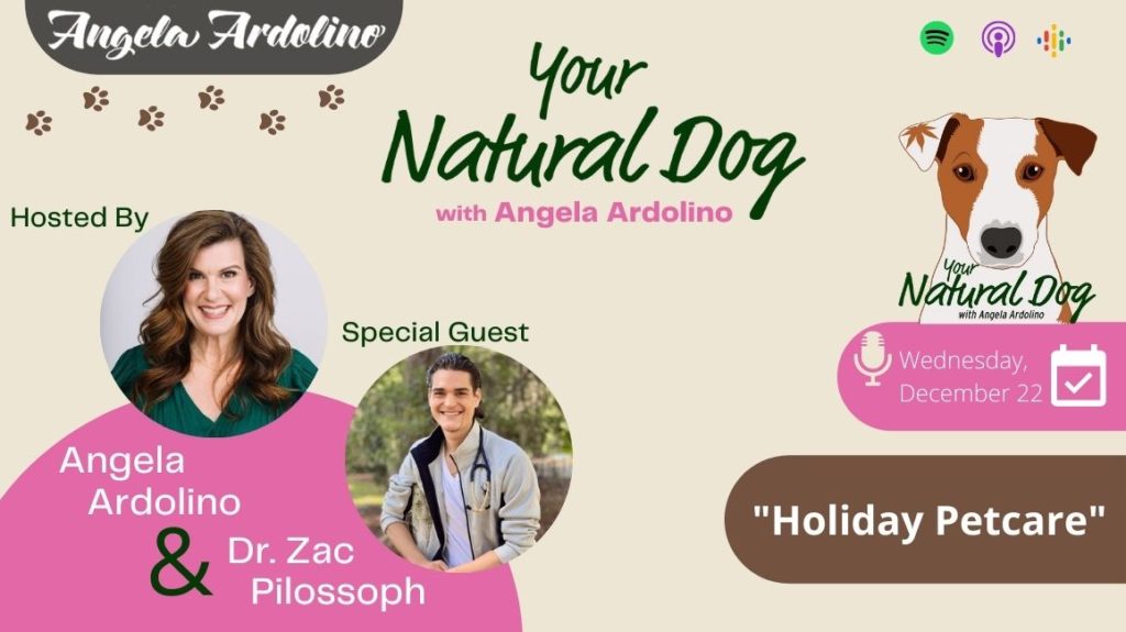 Holiday Pet Care Tips with Dr Zac Pilossoph on Your Natural Dog Podcast - Blog Featured Image