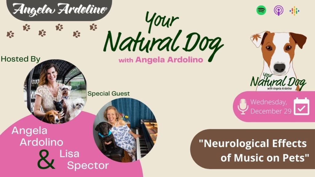 Neurological Effects of Music on Pets with Lisa Spector on Your Natural Dog Podcast - Blog Featured Image