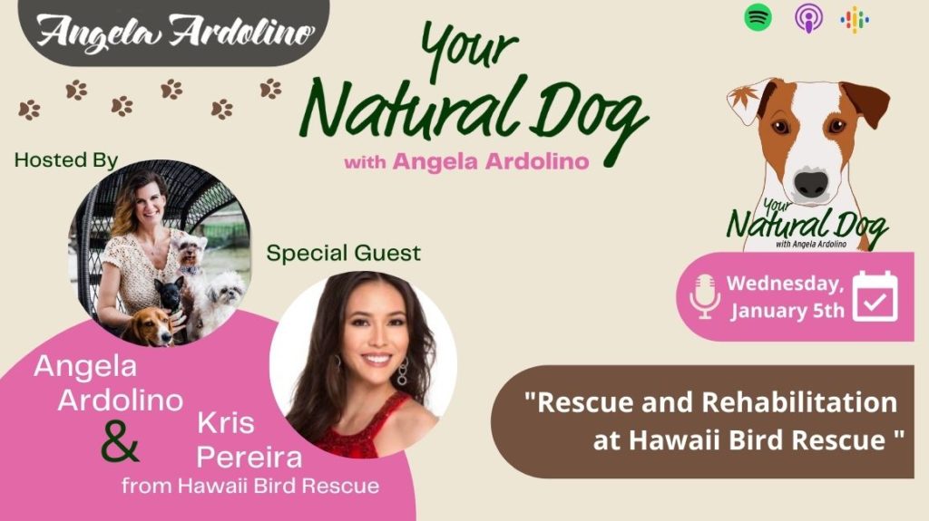 Rehab and Rehabilitation at Hawai'i Bird Rescue with Kris Pereira on Your Natural DogBlog Featured Image
