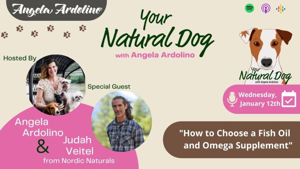 How to Choose a Fish Oil and Omega Supplement with Judah Veitel of Nordic Naturals on Your Natural Dog Podcast Blog Featured Image