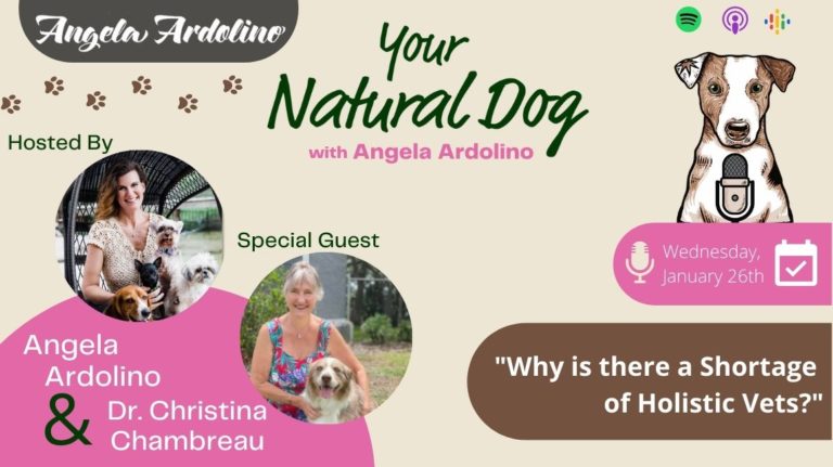 Why is there a shortage of holistic vets? with Dr Christina Chambreau on Your Natural Dog Podcast Blog Featured Image