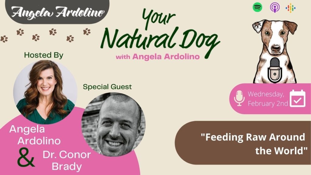 Feeding Raw Around The World with Dr Conor Brady on Your Natural Dog Podcast with Angela Ardolino - Blog Featured Image