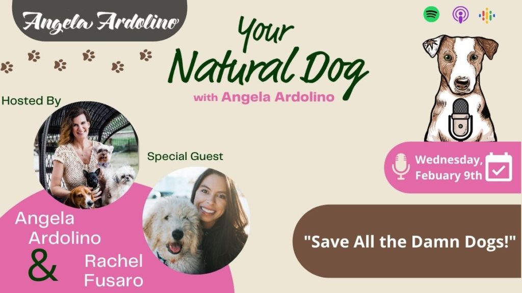 Save All the Damn Dogs with Rachel Fusaro on Your Natural Dog Podcast Blog Featured Image