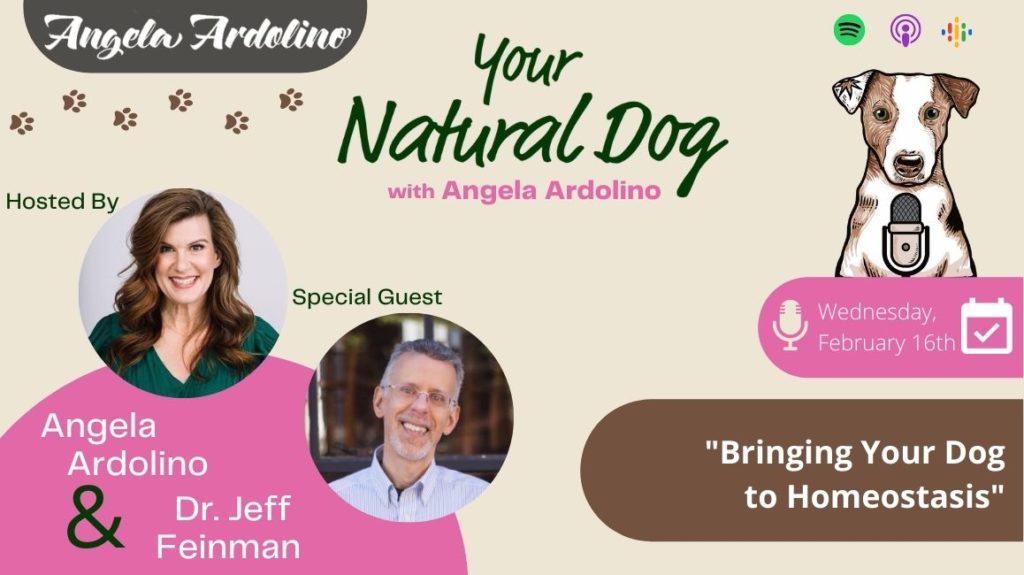 Bringing Your Dog to Homeostasis with Dr Jeff Feinman on Your Natural Dog Podcast Blog Featured Image