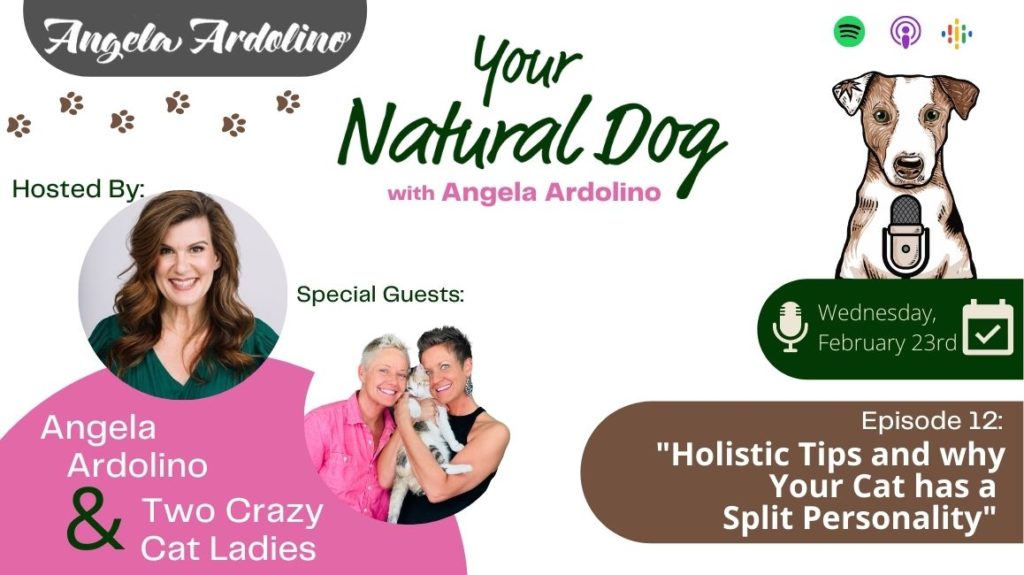 Two Crazy Cat Ladies with Holistic Tips and why Your Cat has a Split Personality on Your Natural Dog Podcast - Blog Featured Image