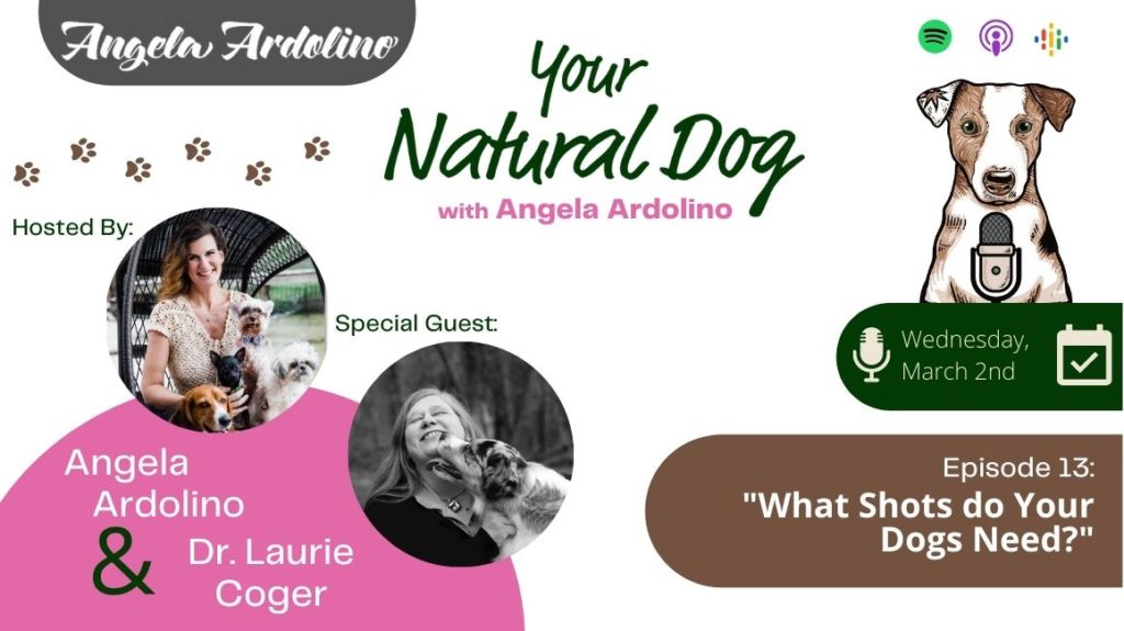 Dr Laurie Coger on Your Natural Dog Podcast - What Shots Do Your Dogs Need? Vaccine Protocol