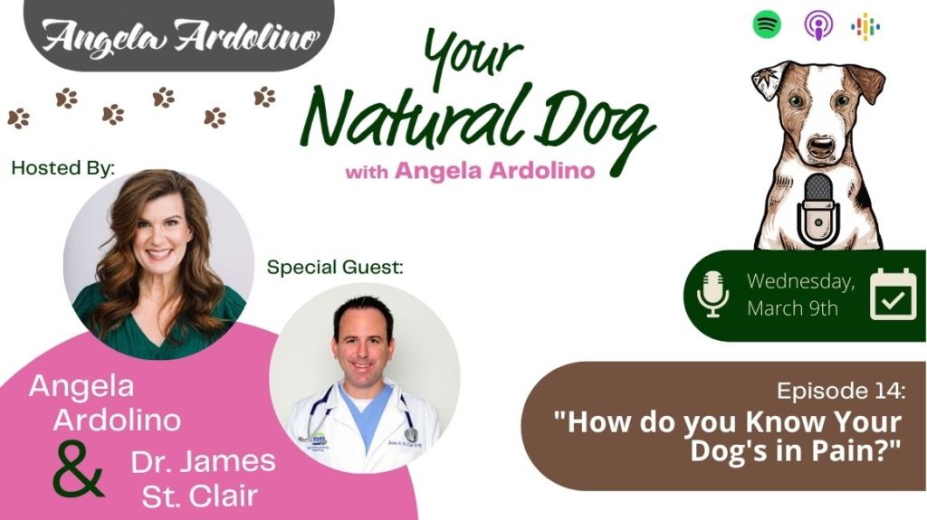 How Do You Know Your Dog's in Pain with Dr. James St. Clair on Your Natural Dog Podcast