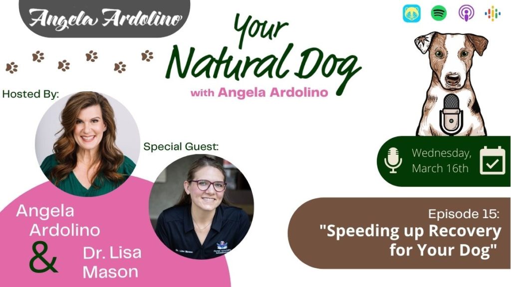 Dr. Lisa Mason on Your Natural Dog Podcast Blog Featured Image