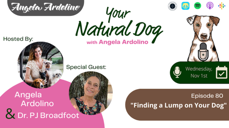 DR PJ Broadfoot finding a lump tumor on your dog AA YND Podcast