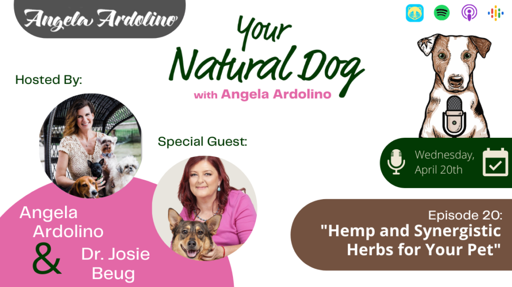 Dr Josie Beug Hemp and synergistic herbs for pets on YND podcast Blog Featured Image