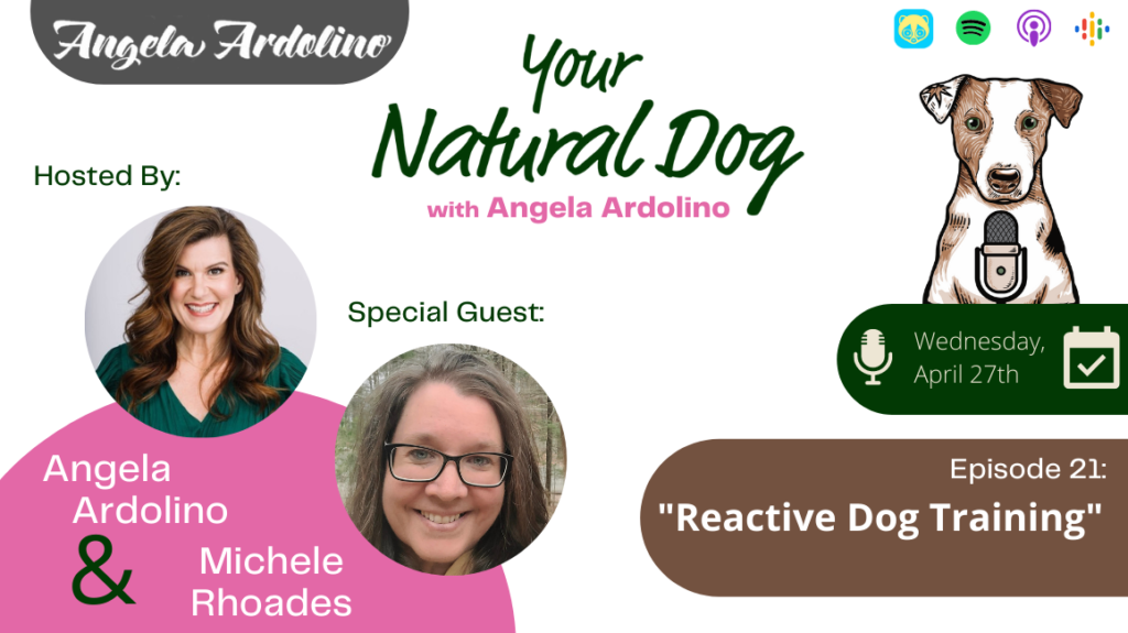 Reactive Dog Training with Michele Rhoades on Your Natural Dog Podcast with Angela Ardolino