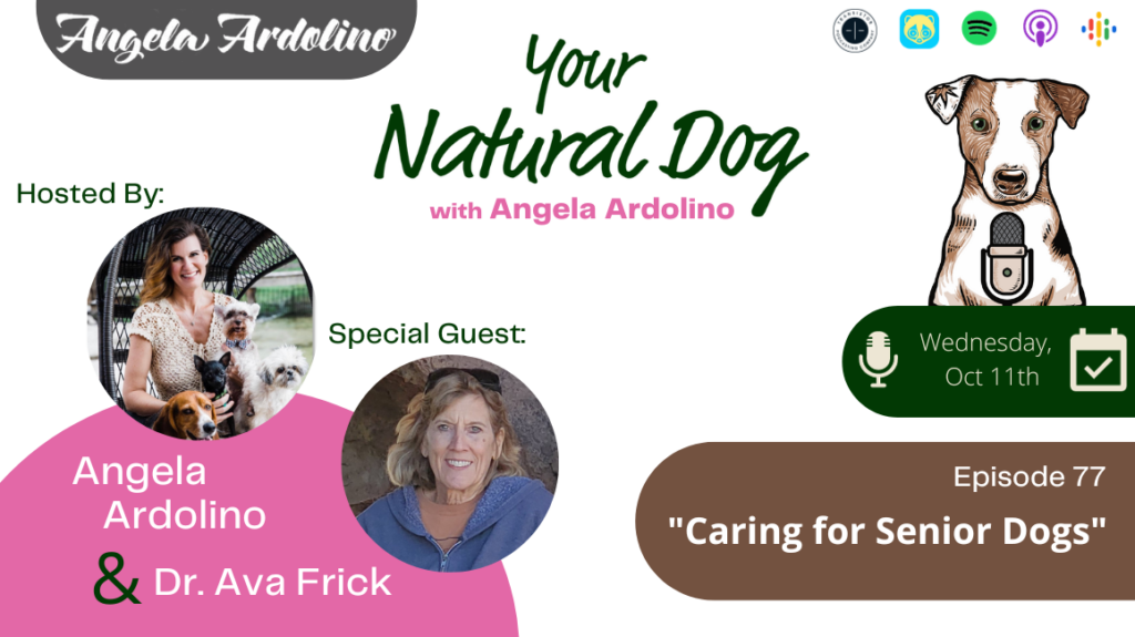 Caring for Senior Dogs Dr Ava Frick Podcast