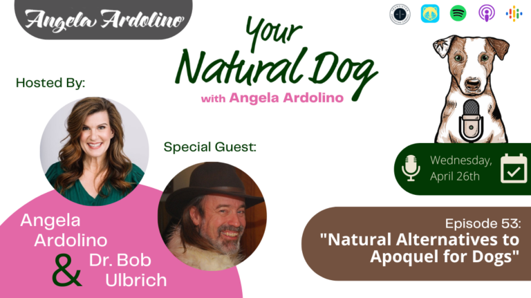 Natural Alternatives to Apoquel for Dogs Allergies with Dr. Bob Ulbrich on Your Natural Dog