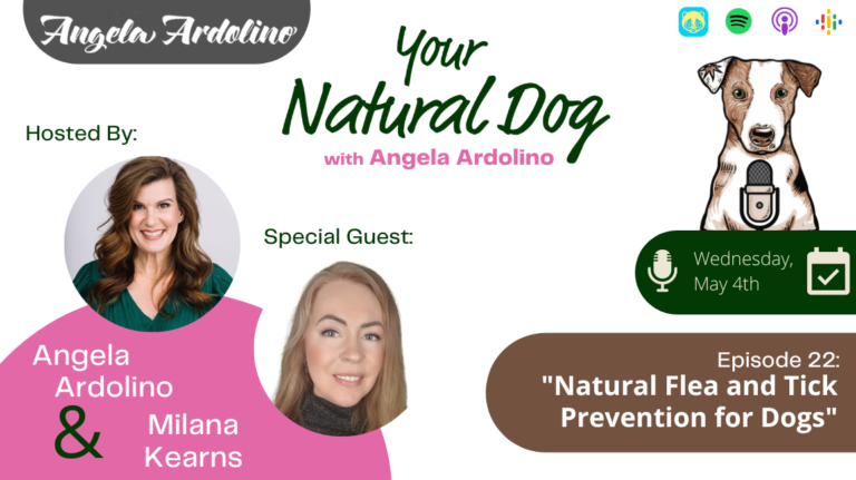 Natural Flea and Tick Prevention for Dogs with Milana Kearns - Baltic Amber Collars
