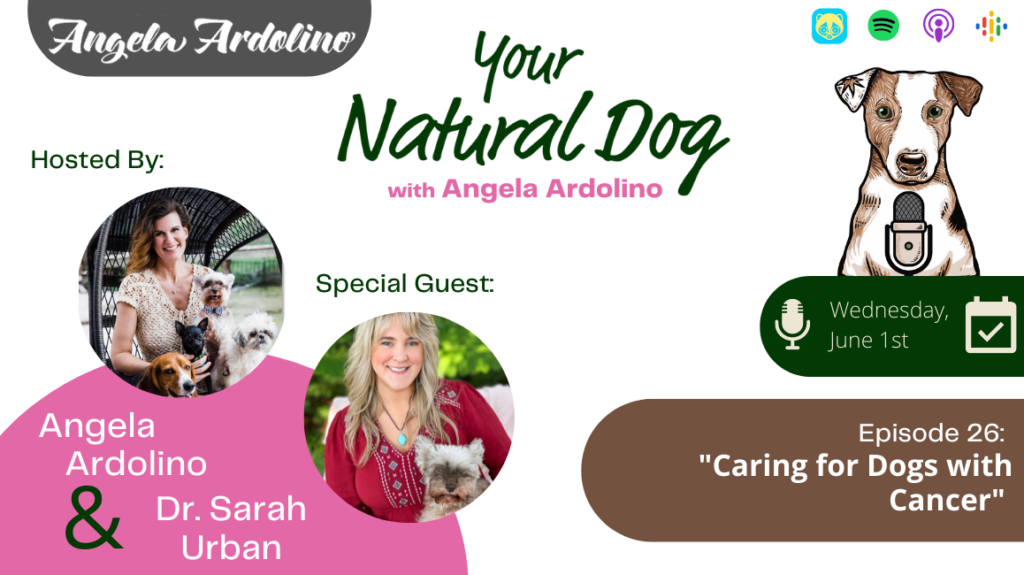 caring for dogs with cancer with dr sarah urban on your natural dog podcast