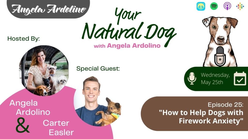 how to help dogs with firework anxiety on your natural dog podcast blog featured image