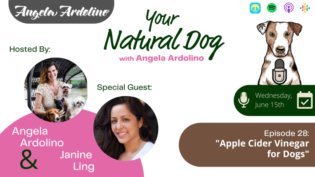 Apple Cider Vinegar for Dogs with Janine Ling of Project Sudz on Your Natural Dog Podcast
