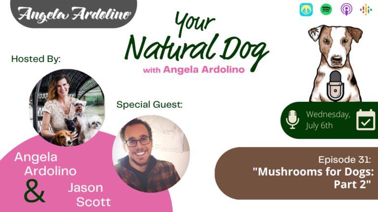 Mushrooms for Dogs Mycodog Mushrooms Mycoalchemist mycologist Jason Scott YND Your Natural Dog Podcast