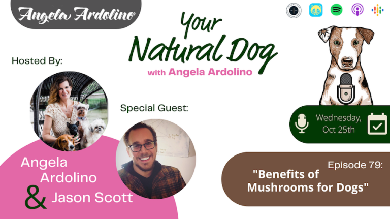Jason Scott benefits of mushrooms your natural dog podcast mycodog
